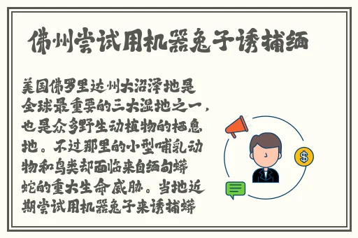 中文无码精品一区二区三区